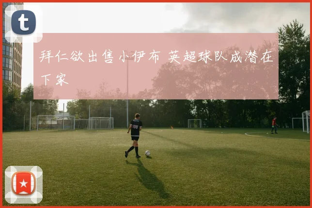 拜仁欲出售小伊布 英超球队成潜在下家